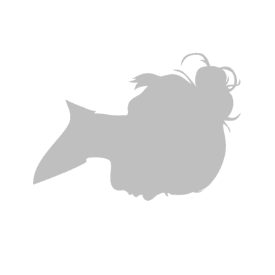 Příjmení Jméno I.